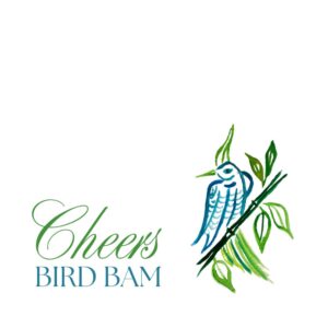 Bird Bam Mahjong themed cocktail napkins